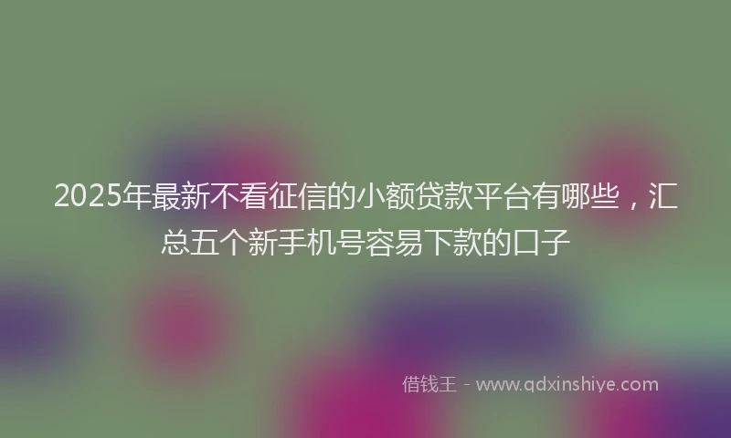 2025年最新不看征信的小额贷款平台有哪些，汇总五个新手机号容易下款的口子