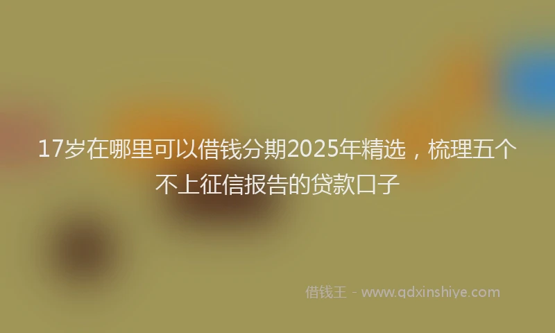17岁在哪里可以借钱分期2025年精选，梳理五个不上征信报告的贷款口子