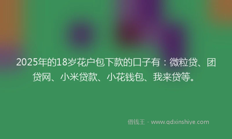 2025年的18岁花户包下款的口子有：微粒贷、团贷网、小米贷款、小花钱包、我来贷等。