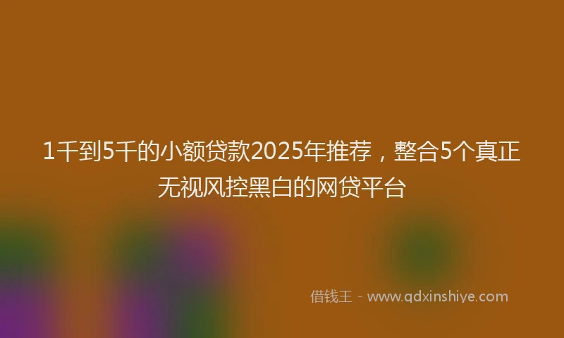 1千到5千的小额贷款2025年推荐，整合5个真正无视风控黑白的网贷平台