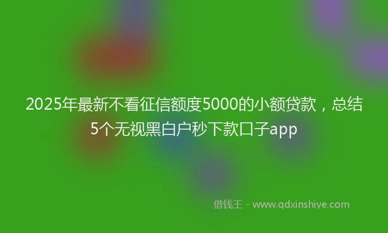 2025年最新不看征信额度5000的小额贷款，总结5个无视黑白户秒下款口子app