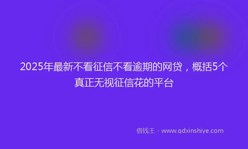 2025年最新不看征信不看逾期的网贷，概括5个真正无视征信花的平台