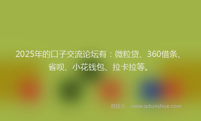 2025年的口子交流论坛有：微粒贷、360借条、省呗、小花钱包、拉卡拉等。