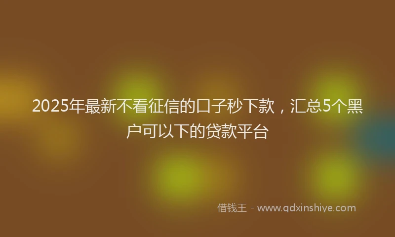2025年最新不看征信的口子秒下款，汇总5个黑户可以下的贷款平台