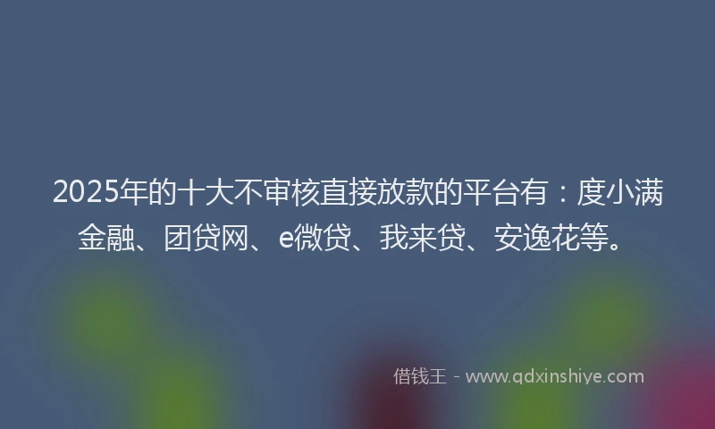 2025年的十大不审核直接放款的平台有：度小满金融、团贷网、e微贷、我来贷、安逸花等。