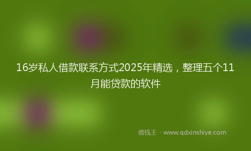 16岁私人借款联系方式2025年精选，整理五个11月能贷款的软件