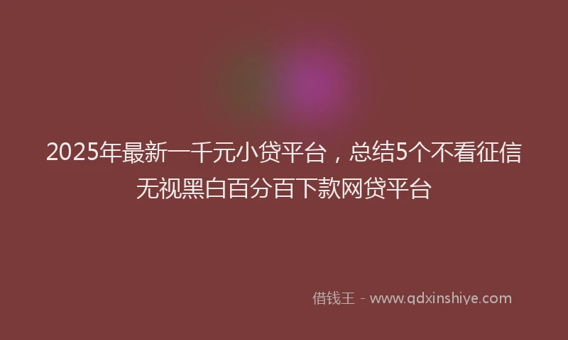 2025年最新一千元小贷平台，总结5个不看征信无视黑白百分百下款网贷平台