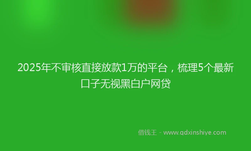 2025年不审核直接放款1万的平台，梳理5个最新口子无视黑白户网贷