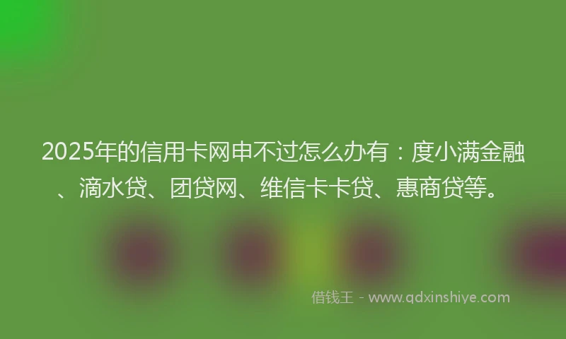 2025年的信用卡网申不过怎么办有：度小满金融、滴水贷、团贷网、维信卡卡贷、惠商贷等。