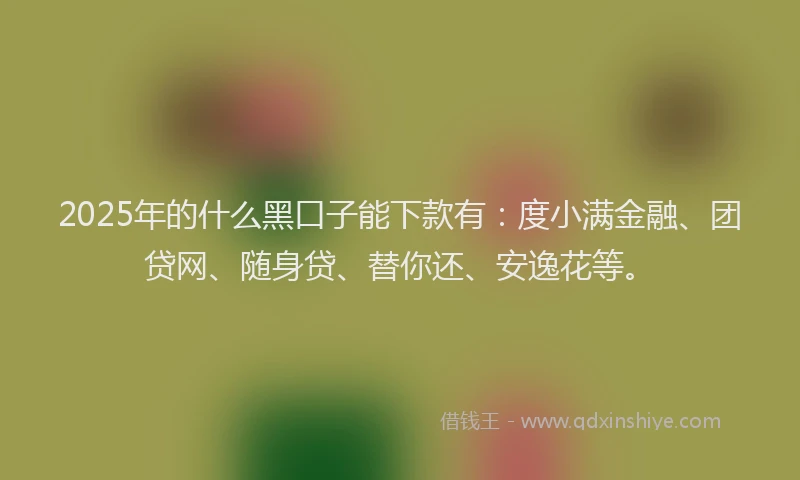 2025年的什么黑口子能下款有：度小满金融、团贷网、随身贷、替你还、安逸花等。