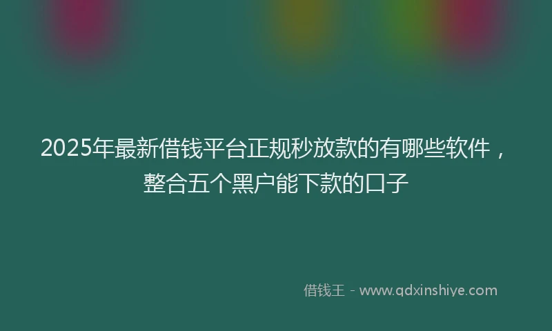 2025年最新借钱平台正规秒放款的有哪些软件，整合五个黑户能下款的口子