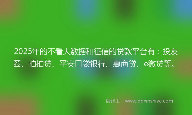 2025年的不看大数据和征信的贷款平台有：投友圈、拍拍贷、平安口袋银行、惠商贷、e微贷等。