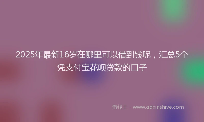 2025年最新16岁在哪里可以借到钱呢，汇总5个凭支付宝花呗贷款的口子