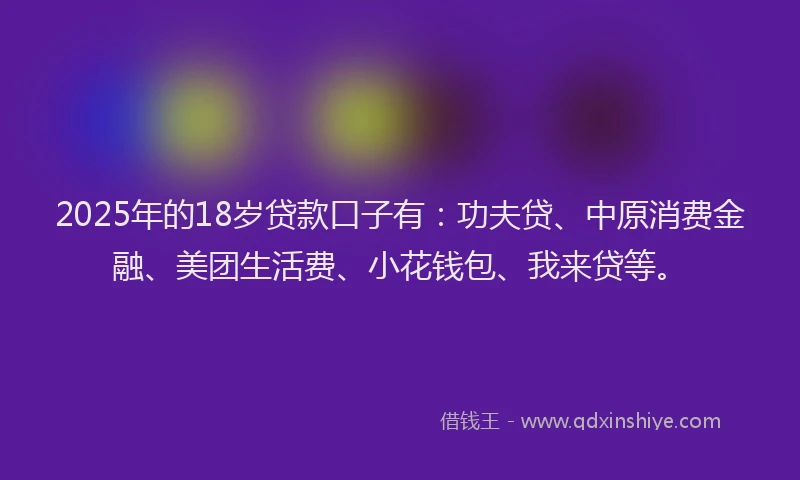 2025年的18岁贷款口子有：功夫贷、中原消费金融、美团生活费、小花钱包、我来贷等。