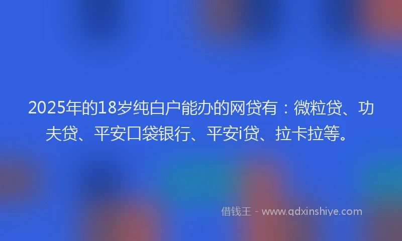 2025年的18岁纯白户能办的网贷有：微粒贷、功夫贷、平安口袋银行、平安i贷、拉卡拉等。