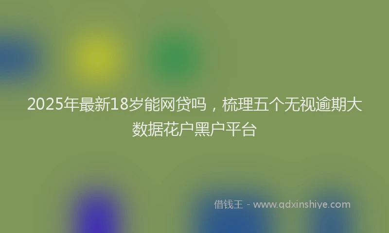 2025年最新18岁能网贷吗，梳理五个无视逾期大数据花户黑户平台