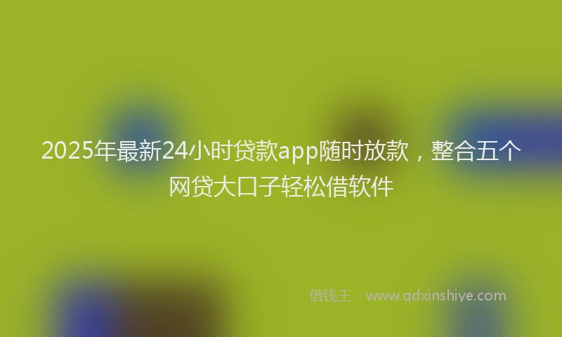 2025年最新24小时贷款app随时放款，整合五个网贷大口子轻松借软件