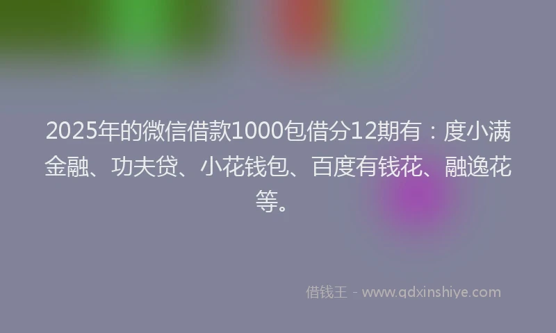 2025年的微信借款1000包借分12期有：度小满金融、功夫贷、小花钱包、百度有钱花、融逸花等。