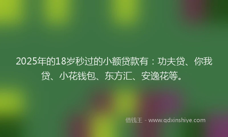 2025年的18岁秒过的小额贷款有：功夫贷、你我贷、小花钱包、东方汇、安逸花等。