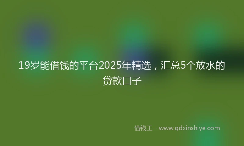 19岁能借钱的平台2025年精选，汇总5个放水的贷款口子