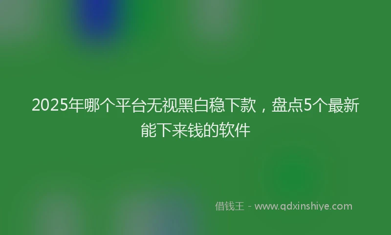 2025年哪个平台无视黑白稳下款，盘点5个最新能下来钱的软件