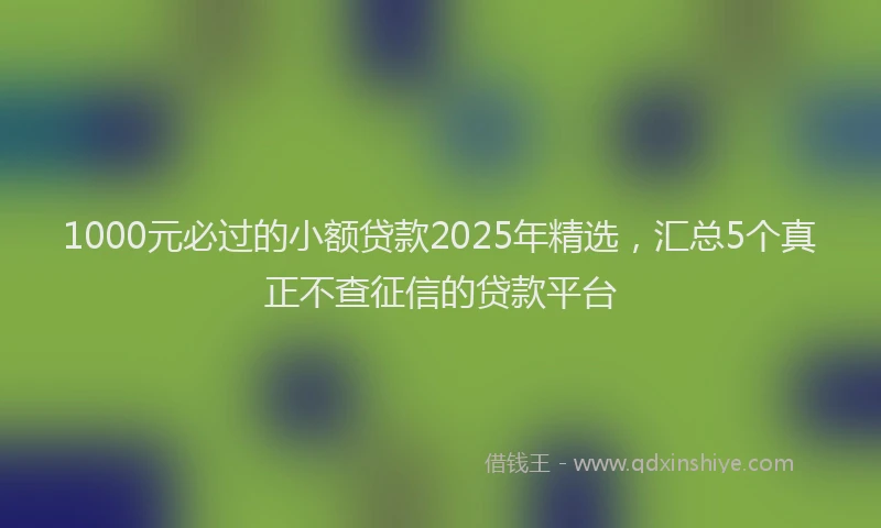 1000元必过的小额贷款2025年精选，汇总5个真正不查征信的贷款平台