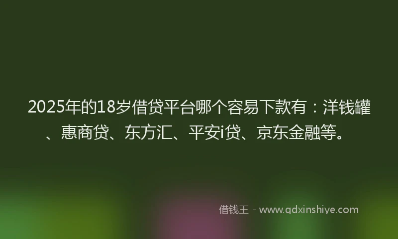 2025年的18岁借贷平台哪个容易下款有：洋钱罐、惠商贷、东方汇、平安i贷、京东金融等。