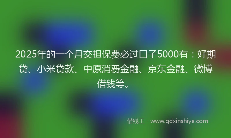 2025年的一个月交担保费必过口子5000有：好期贷、小米贷款、中原消费金融、京东金融、微博借钱等。