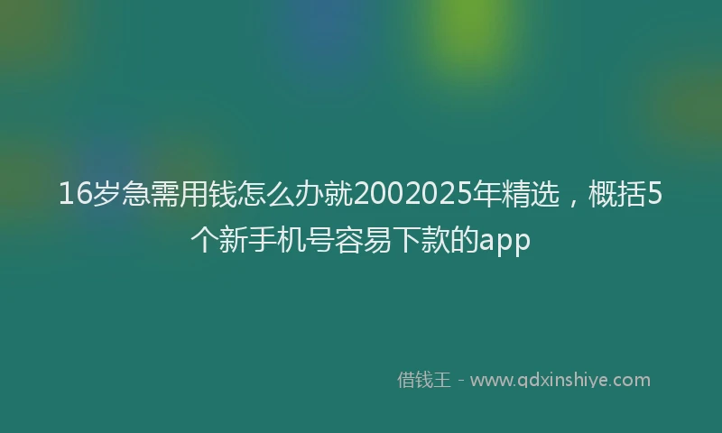 16岁急需用钱怎么办就2002025年精选，概括5个新手机号容易下款的app