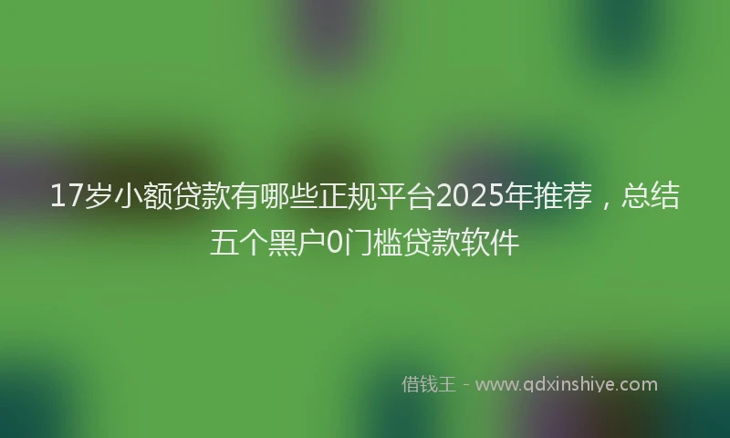 17岁小额贷款有哪些正规平台2025年推荐，总结五个黑户0门槛贷款软件