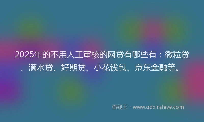 2025年的不用人工审核的网贷有哪些有：微粒贷、滴水贷、好期贷、小花钱包、京东金融等。