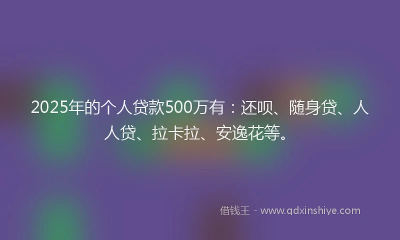 2025年的个人贷款500万有：还呗、随身贷、人人贷、拉卡拉、安逸花等。