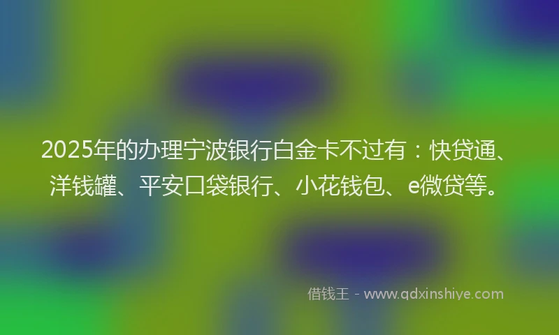 2025年的办理宁波银行白金卡不过有：快贷通、洋钱罐、平安口袋银行、小花钱包、e微贷等。