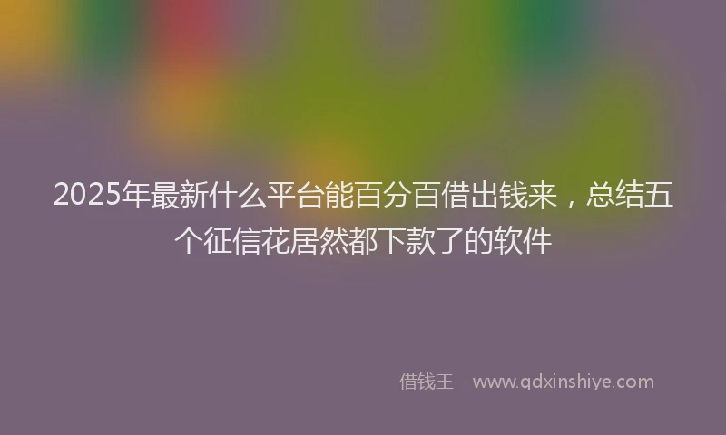 2025年最新什么平台能百分百借出钱来，总结五个征信花居然都下款了的软件