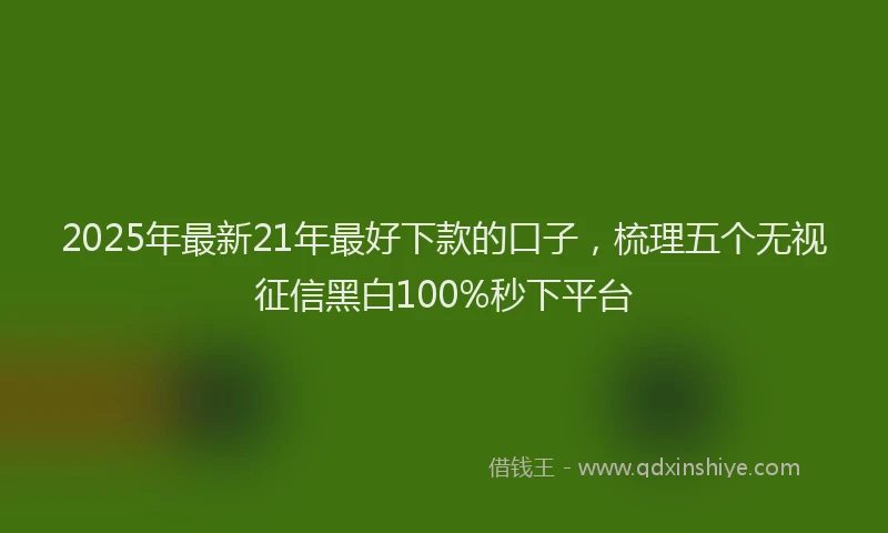 2025年最新21年最好下款的口子，梳理五个无视征信黑白100%秒下平台