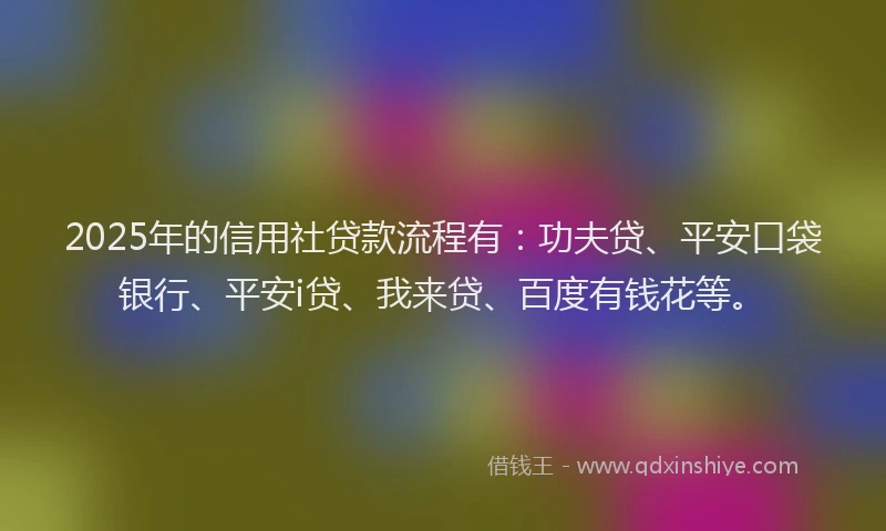2025年的信用社贷款流程有：功夫贷、平安口袋银行、平安i贷、我来贷、百度有钱花等。