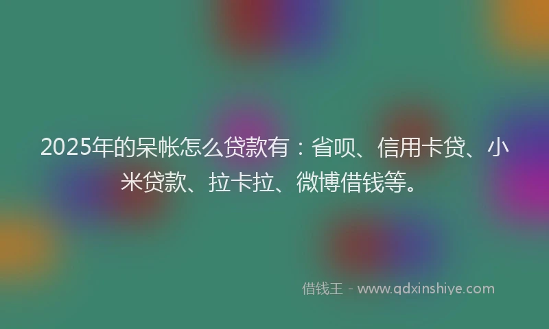 2025年的呆帐怎么贷款有：省呗、信用卡贷、小米贷款、拉卡拉、微博借钱等。
