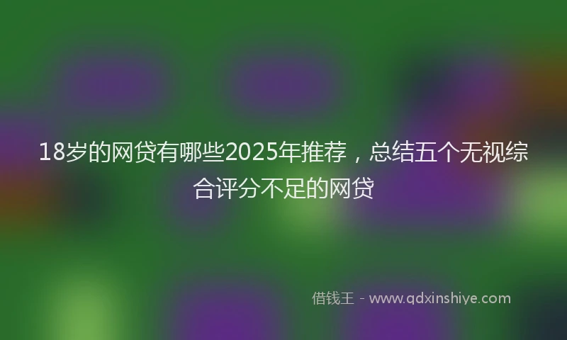 18岁的网贷有哪些2025年推荐，总结五个无视综合评分不足的网贷