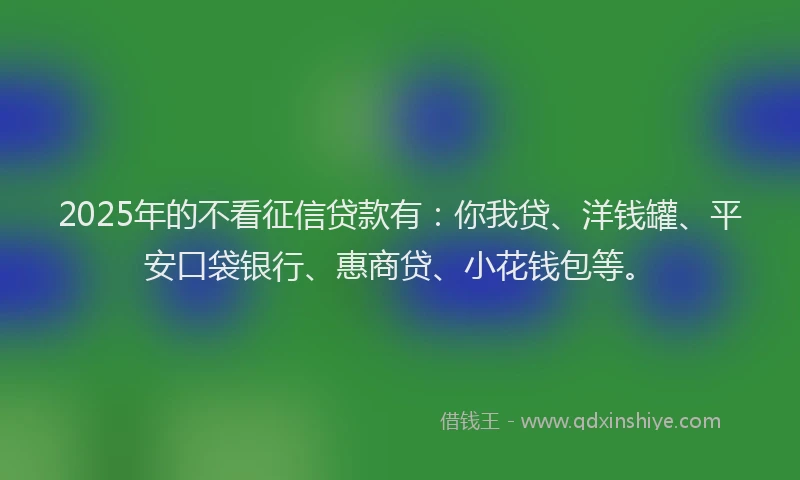 2025年的不看征信贷款有：你我贷、洋钱罐、平安口袋银行、惠商贷、小花钱包等。