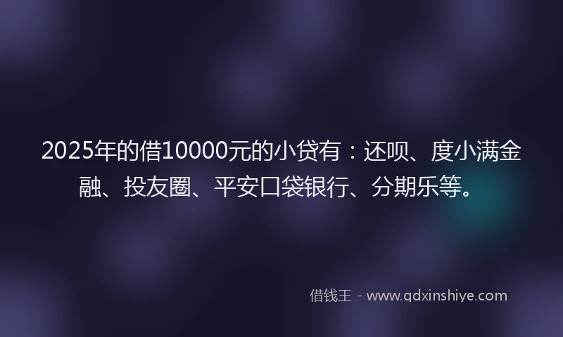 2025年的借10000元的小贷有：还呗、度小满金融、投友圈、平安口袋银行、分期乐等。