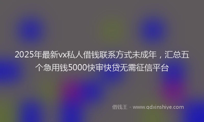 2025年最新vx私人借钱联系方式未成年，汇总五个急用钱5000快审快贷无需征信平台