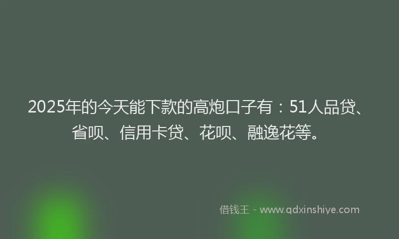 2025年的今天能下款的高炮口子有：51人品贷、省呗、信用卡贷、花呗、融逸花等。