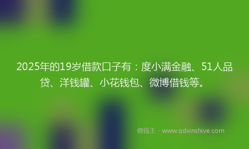 2025年的19岁借款口子有：度小满金融、51人品贷、洋钱罐、小花钱包、微博借钱等。