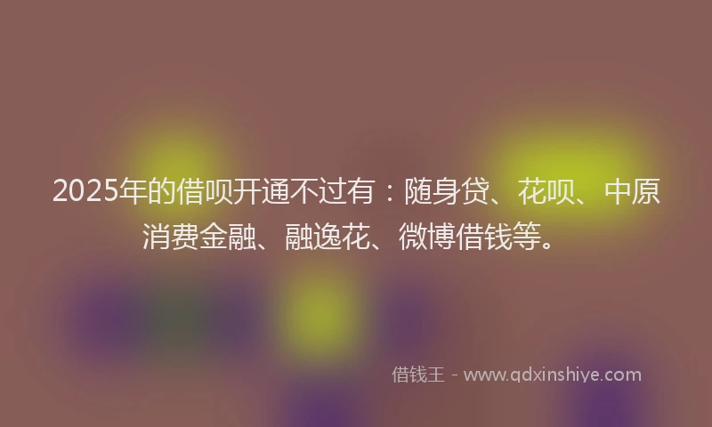 2025年的借呗开通不过有：随身贷、花呗、中原消费金融、融逸花、微博借钱等。
