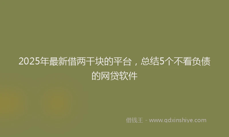 2025年最新借两干块的平台，总结5个不看负债的网贷软件