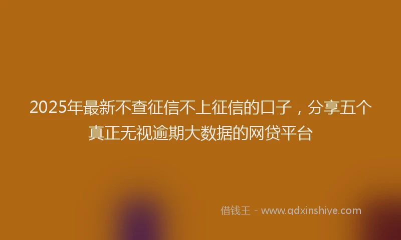 2025年最新不查征信不上征信的口子，分享五个真正无视逾期大数据的网贷平台
