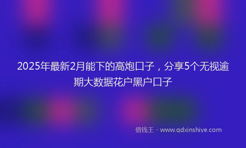 2025年最新2月能下的高炮口子，分享5个无视逾期大数据花户黑户口子