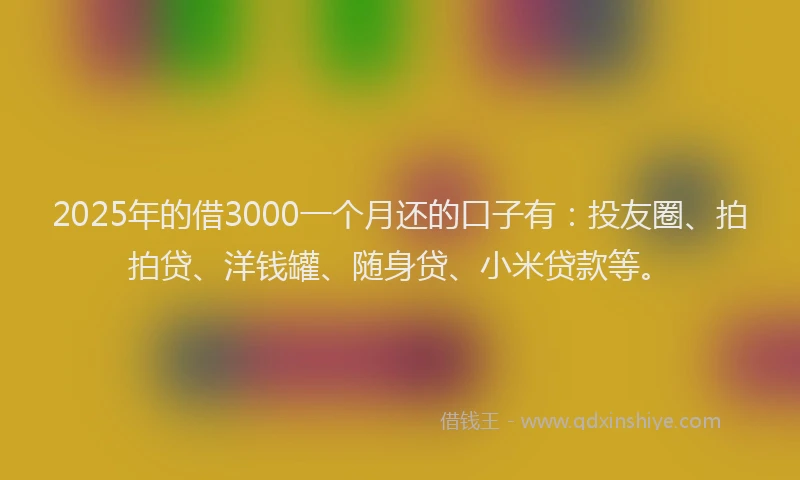2025年的借3000一个月还的口子有：投友圈、拍拍贷、洋钱罐、随身贷、小米贷款等。