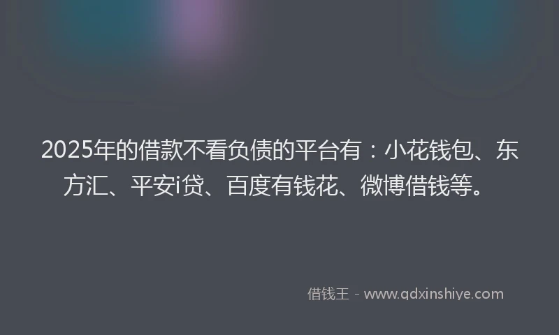 2025年的借款不看负债的平台有：小花钱包、东方汇、平安i贷、百度有钱花、微博借钱等。
