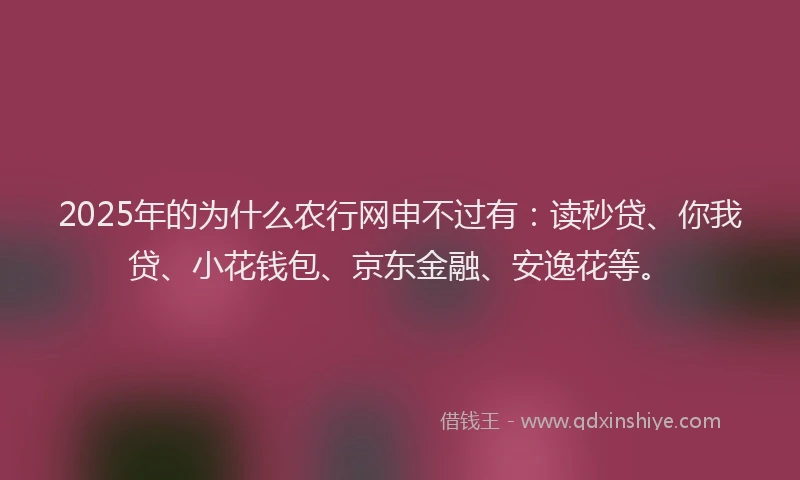 2025年的为什么农行网申不过有：读秒贷、你我贷、小花钱包、京东金融、安逸花等。